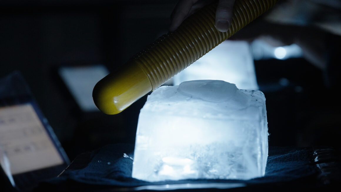 Expansion 4- Crédit_ Kevin Delamourd